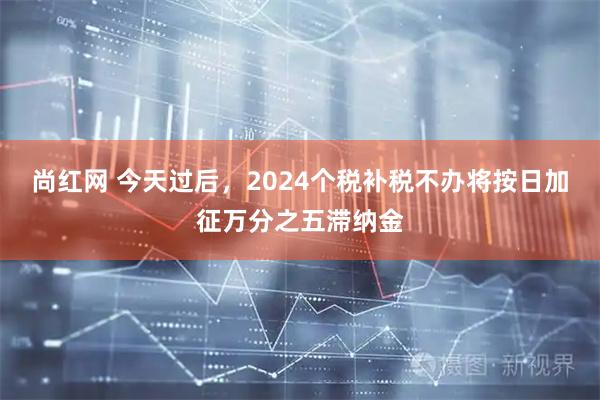 尚红网 今天过后，2024个税补税不办将按日加征万分之五滞纳金
